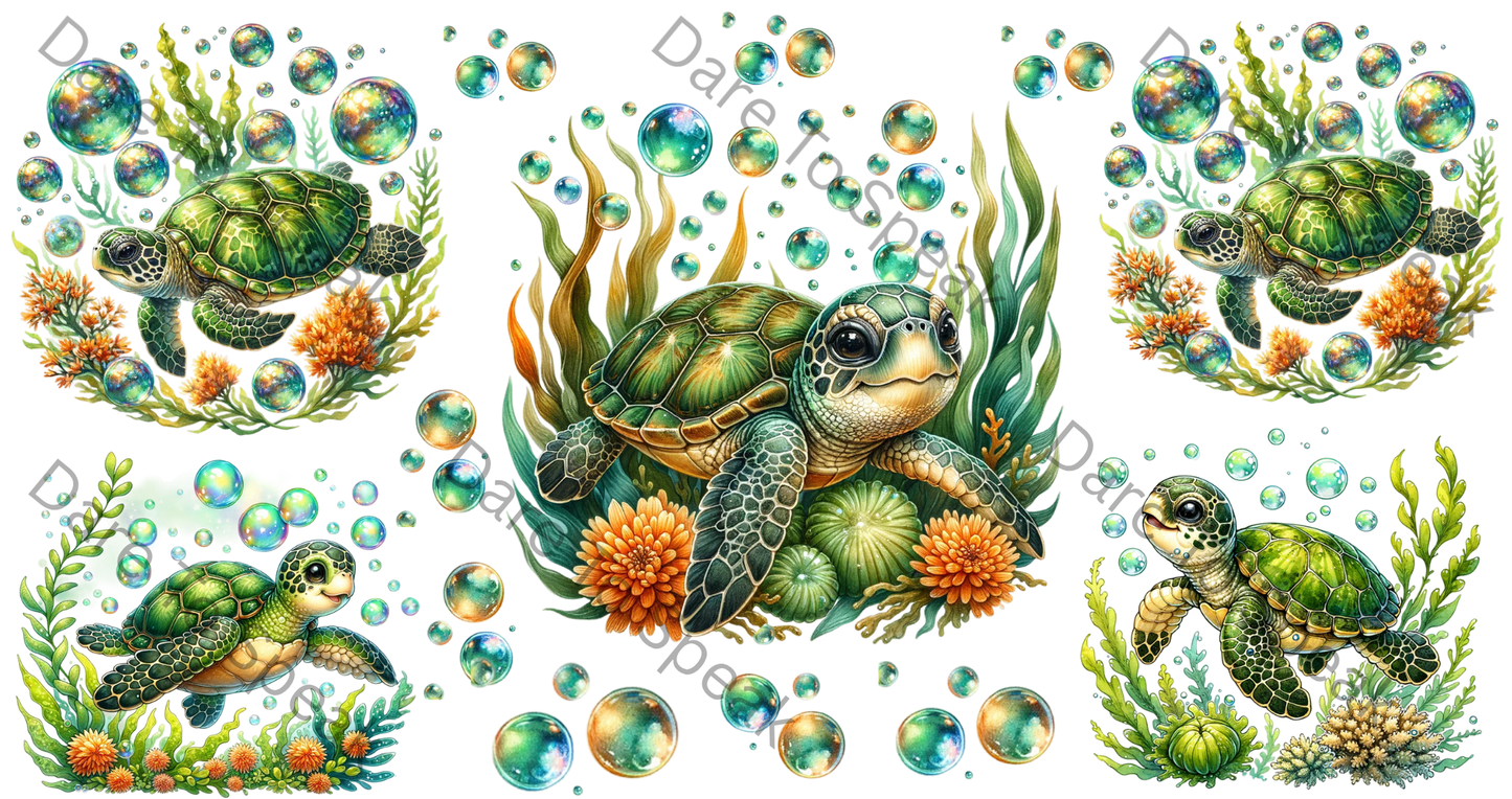 Baby Turtles 4