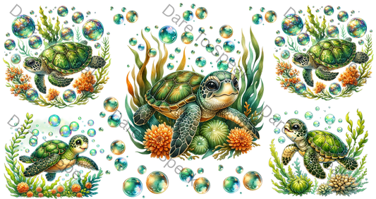 Baby Turtles 4
