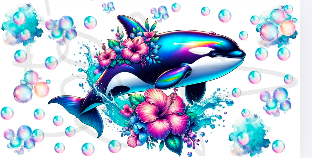 Killa whale