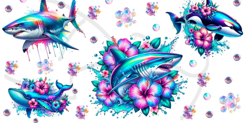 Shark