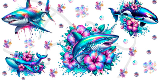 Shark
