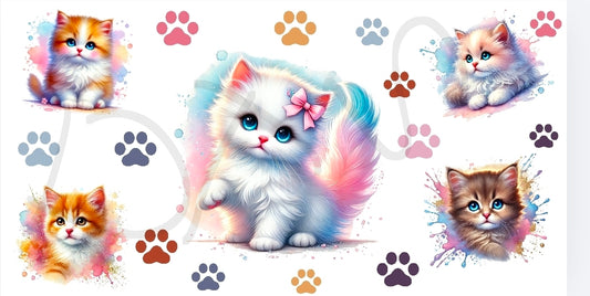 Kitty