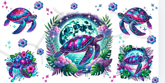 Turtle 3
